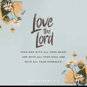 Meet your Posher, Elaina